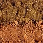 Difference Between Dirt and Soil