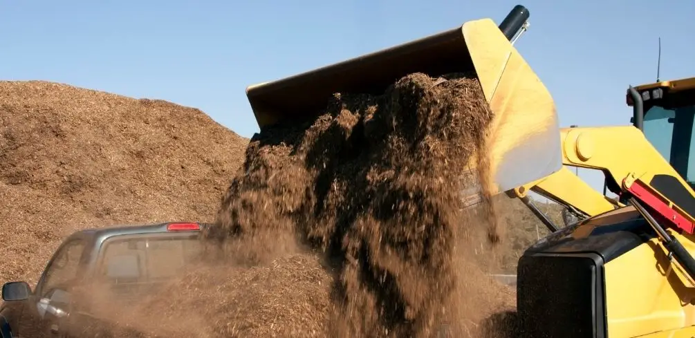 How to Dispose of Dirt