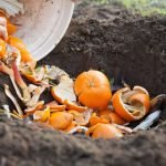 Applying Compost To Gardens