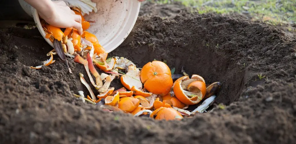 Applying Compost To Gardens