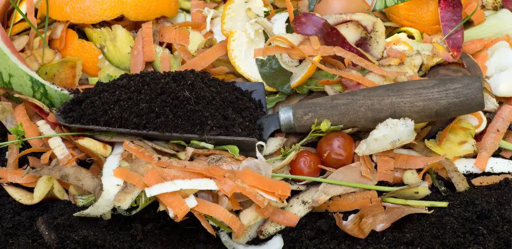 Bokashi Composting