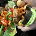 Cold Composting Guide