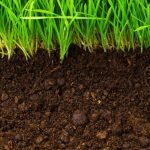 Components Of Healthy Soil