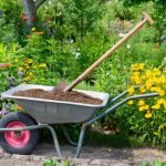 Compost In Landscaping