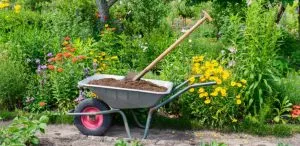 Compost In Landscaping