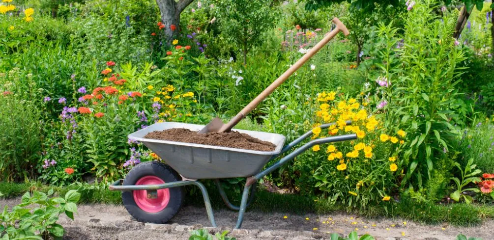 Compost In Landscaping