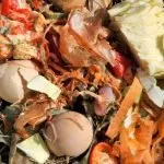 Composting Do's And Don'ts