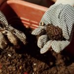 Fertilizers And Soil