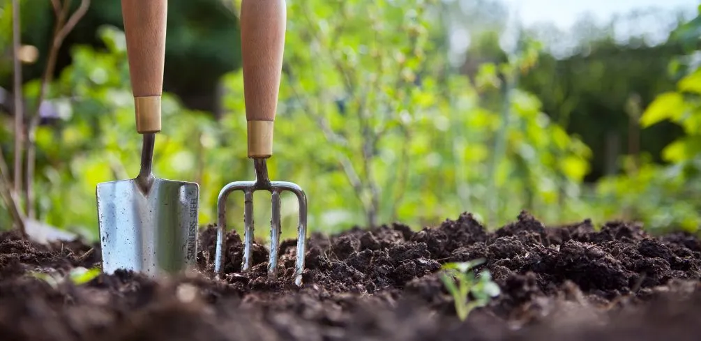 Gardening With Dirt