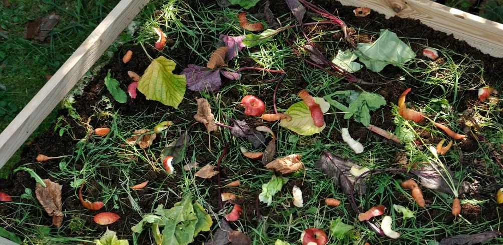 Greens And Browns In Compost