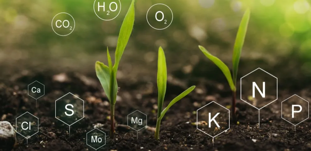 Importance Of Soil Minerals