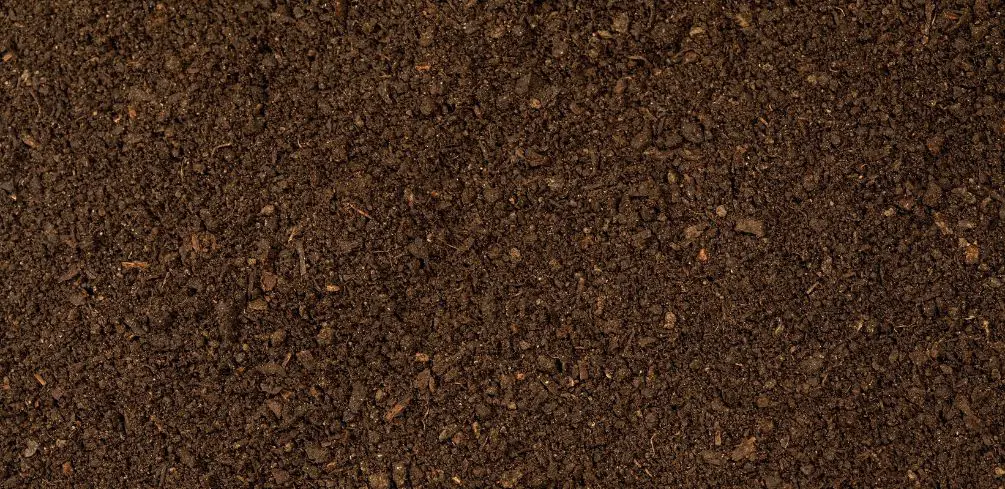 Improving Dirt Quality
