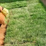 Landscaping With Dirt