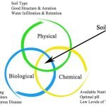 Maintaining Soil Health
