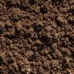 Natural Dirt Deposits