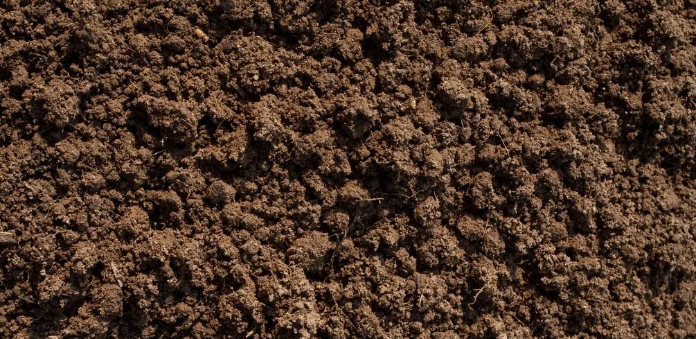 Natural Dirt Deposits