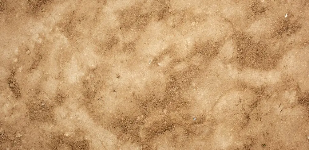 Organic Dirt Amendments