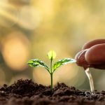 Soil Water And Air